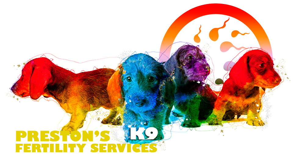 Preston's K9 Fertility Services